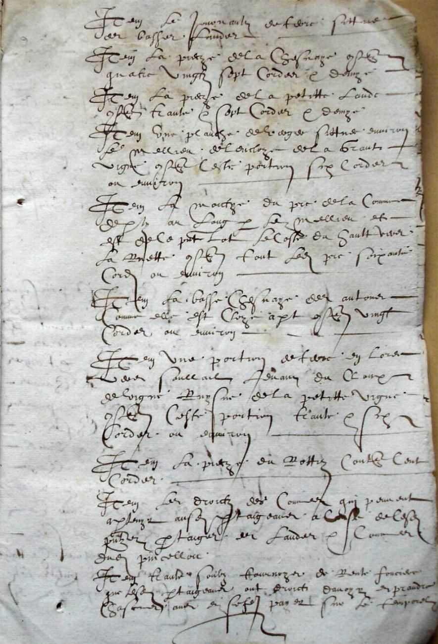 Cohon-F_1619 (13).JPG